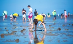 厦门滩涂赶海+帆船体验一日游